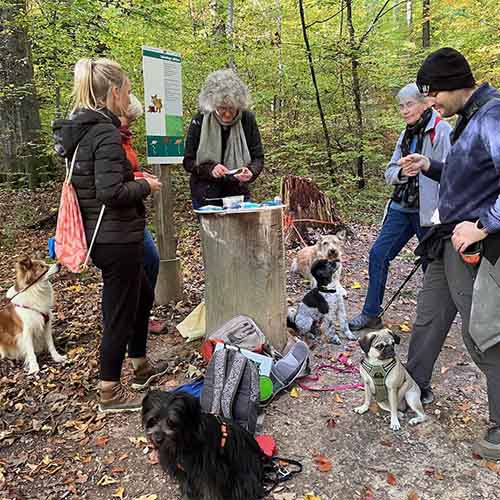 Hundetrainerin+Umweltfachfrau auf Tour Lernspaziergang_Abschlusspicknick