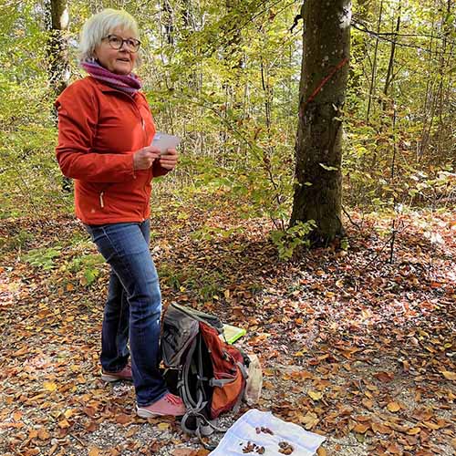 Hundetraining+Naturerlebnis-Tour_Bannwald+Olten Hundetrainer in der Nähe