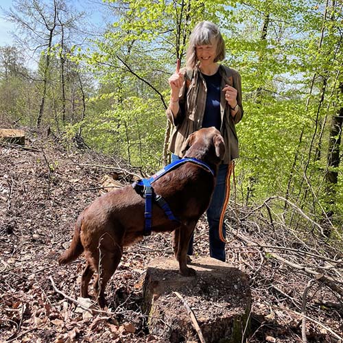 Hundebegegnungen