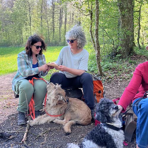 Hundeschule Region Olten
